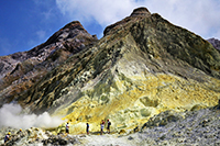 White Island volcano tours